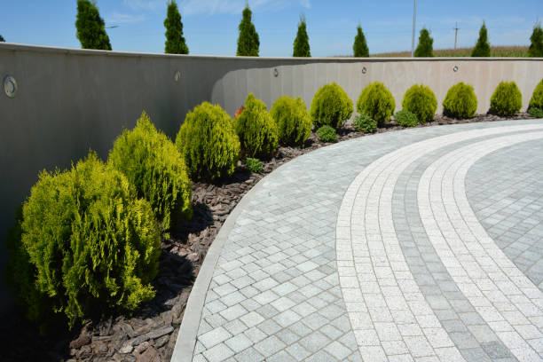 Best Residential Driveway Paver Services  in Slater, MO